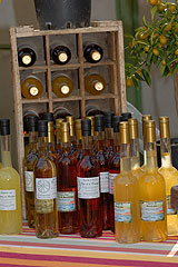 Fete du Citron de Menton 2008