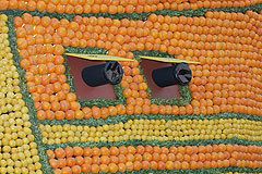 Fete du Citron de Menton 2008