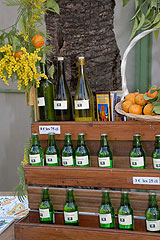 Fete du Citron de Menton 2008