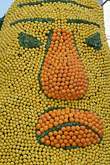 Fete du Citron de Menton 2008