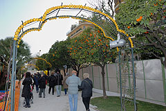 Fete du Citron de Menton 2008