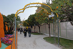 Fete du Citron de Menton 2008