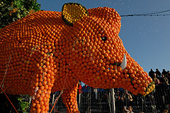 Fête du Citron de Menton 2008