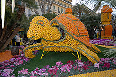 Fête du Citron de Menton 2008