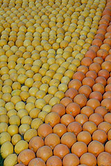 Fête du Citron de Menton 2008