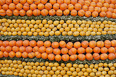 Fête du Citron de Menton 2008