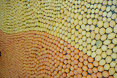 Fête du Citron de Menton 2008