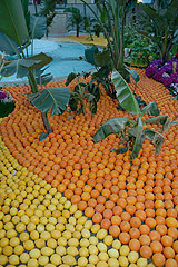 Fête du Citron de Menton 2008