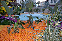 Fête du Citron de Menton 2008