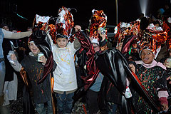 Carnaval-de-Nice-2008