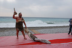 Carnaval de Nice 2008