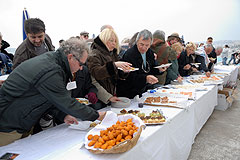 Carnaval de Nice 2008