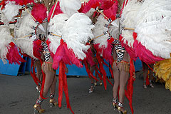 Carnaval de Nice 2008