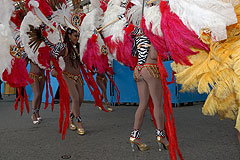 Carnaval de Nice 2008