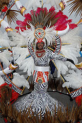 Carnaval de Nice 2008