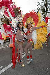 Carnaval de Nice 2008