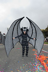 Carnaval de Nice 2008