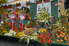 Carnaval de Nice 2008