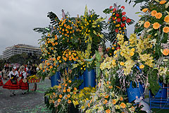 Carnaval de Nice 2008