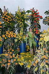 Carnaval de Nice 2008