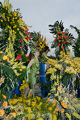 Carnaval de Nice 2008