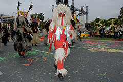 Carnaval de Nice 2008