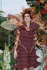 Carnaval de Nice 2008