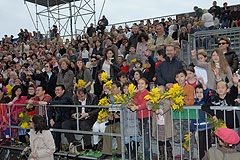 Carnaval de Nice 2008