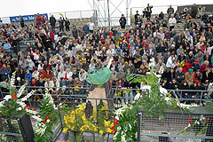 Carnaval de Nice 2008