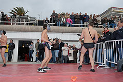 Carnaval de Nice 2008