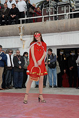 Carnaval de Nice 2008