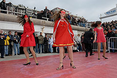 Carnaval de Nice 2008
