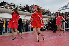 Carnaval de Nice 2008