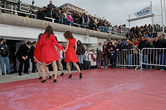 Carnaval de Nice 2008