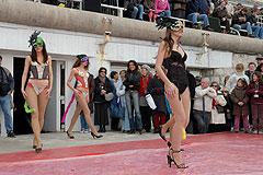 Carnaval de Nice 2008