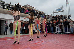 Carnaval de Nice 2008