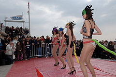 Carnaval de Nice 2008