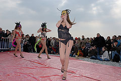 Carnaval de Nice 2008