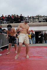 Carnaval de Nice 2008