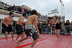 Carnaval de Nice 2008