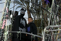 Carnaval de Nice 2008
