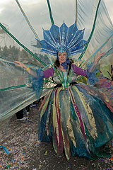 Carnaval de Nice 2008