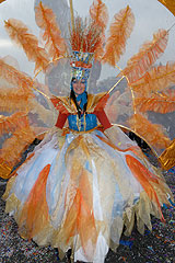 Carnaval de Nice 2008