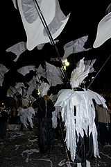 Carnaval de Nice 2008