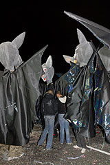 Carnaval de Nice 2008