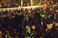Carnaval de Nice 2008