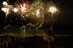 Carnaval de Nice 2008