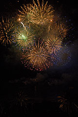 Carnaval de Nice 2008