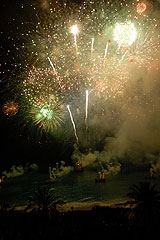 Carnaval de Nice 2008