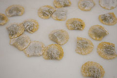 Fête de la Saint Blaise à Valbonne en 2008